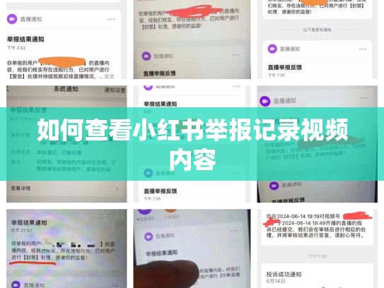 如何查看小红书举报记录视频内容