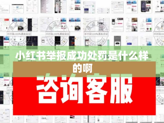 小红书举报成功处罚是什么样的啊