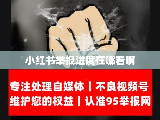 小红书举报进度在哪看啊