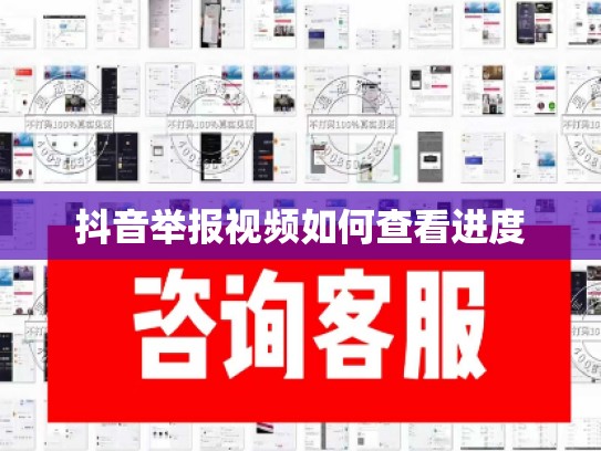 抖音举报视频如何查看进度