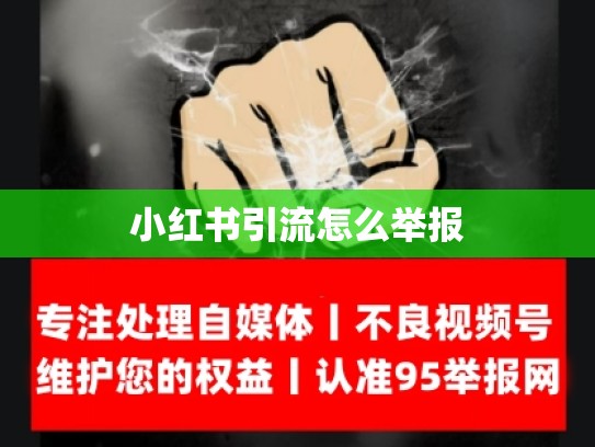 小红书引流怎么举报