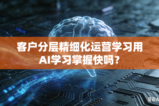 客户分层精细化运营学习用AI学习掌握快吗？-第1张图片-AI优尚网