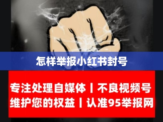怎样举报小红书封号