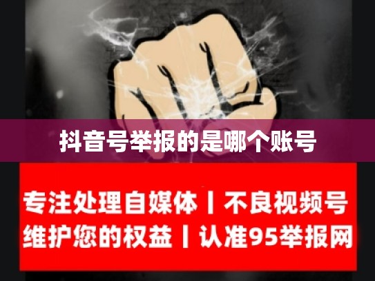 抖音号举报的是哪个账号