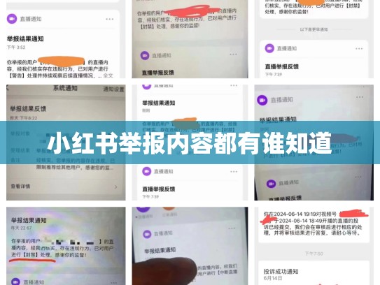 小红书举报内容都有谁知道