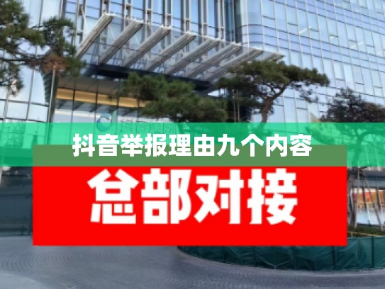 抖音举报理由九个内容