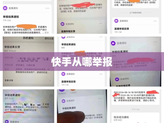 快手从哪举报