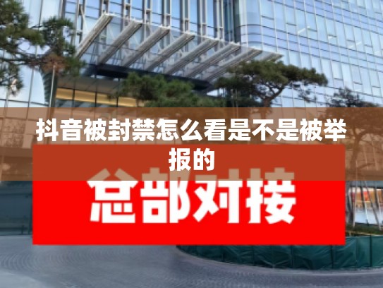 抖音被封禁怎么看是不是被举报的