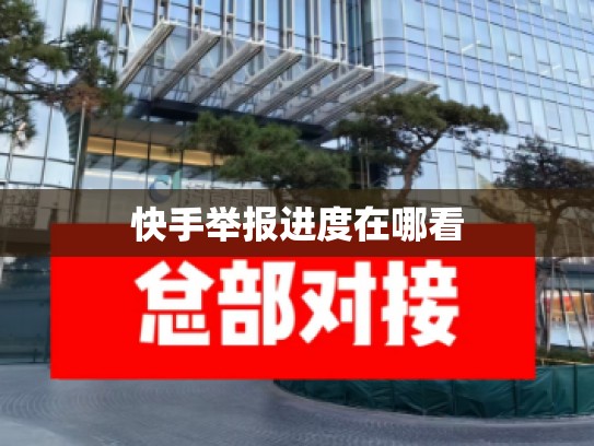 快手举报进度在哪看