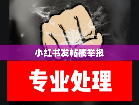 小红书发帖被举报