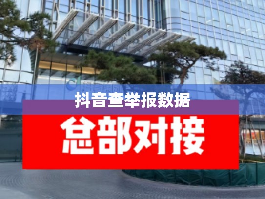 抖音查举报数据