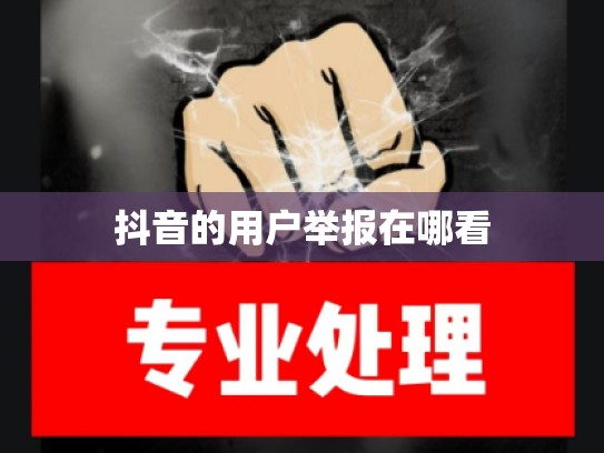 抖音的用户举报在哪看
