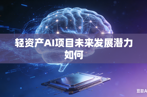 轻资产AI项目未来发展潜力如何