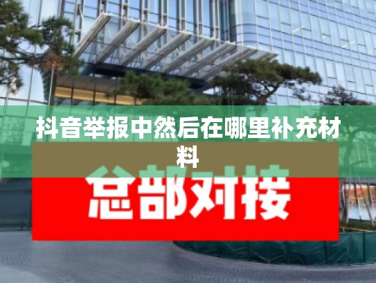 抖音举报中然后在哪里补充材料