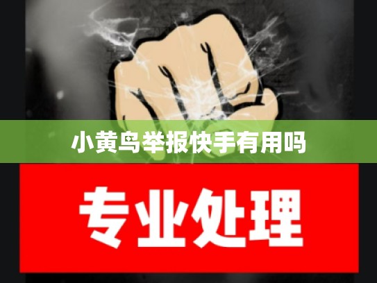 小黄鸟举报快手有用吗
