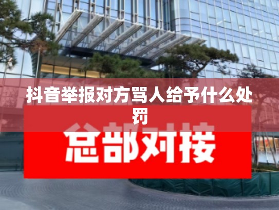 抖音举报对方骂人给予什么处罚