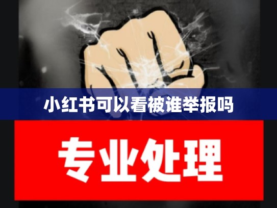 小红书可以看被谁举报吗