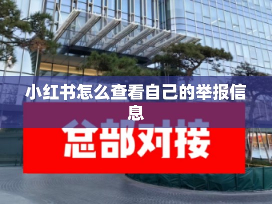 小红书怎么查看自己的举报信息