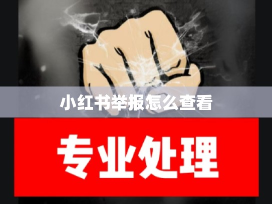 小红书举报怎么查看