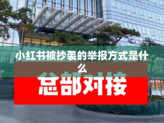 小红书被抄袭的举报方式是什么