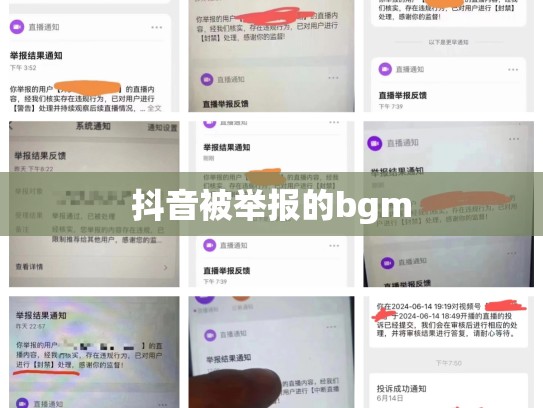 抖音被举报的bgm