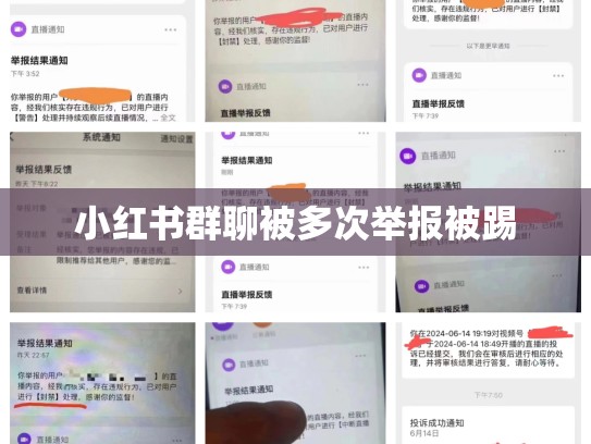 小红书群聊被多次举报被踢