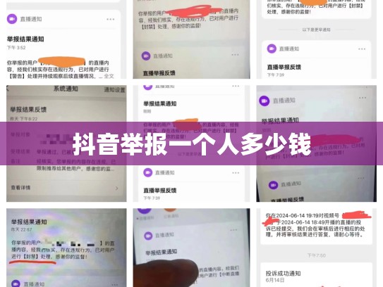 抖音举报一个人多少钱