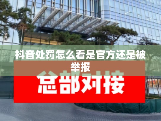 抖音处罚怎么看是官方还是被举报