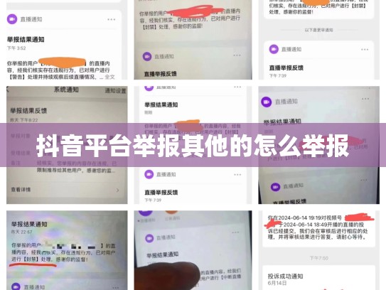抖音平台举报其他的怎么举报
