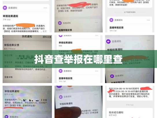抖音查举报在哪里查