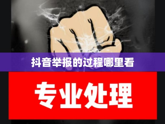 抖音举报的过程哪里看