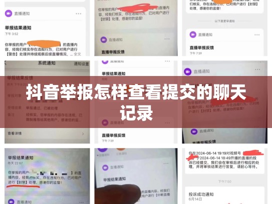 抖音举报怎样查看提交的聊天记录
