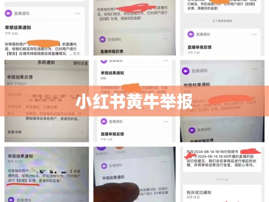 小红书黄牛举报