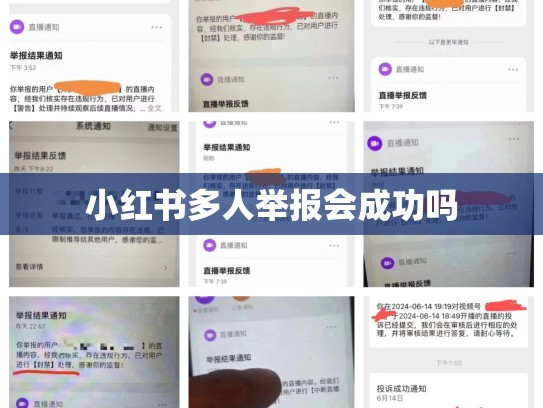 小红书多人举报会成功吗