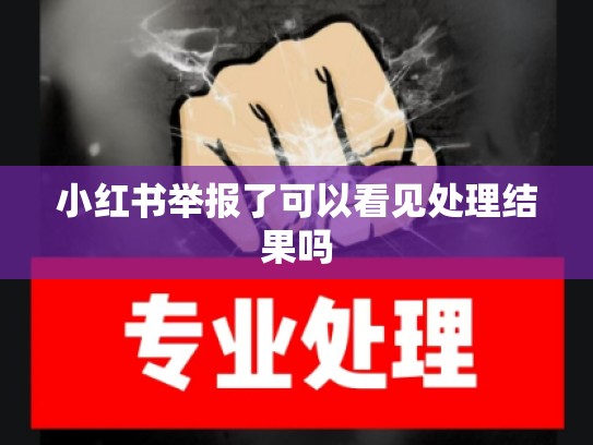 小红书举报了可以看见处理结果吗