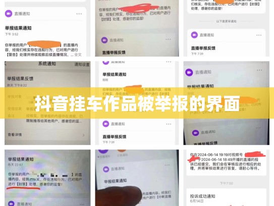 抖音挂车作品被举报的界面