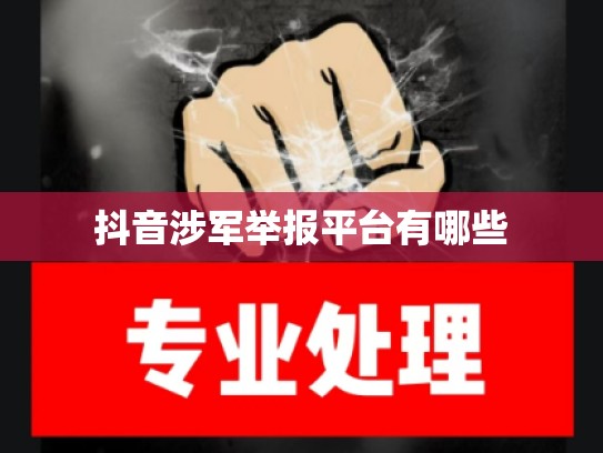 抖音涉军举报平台有哪些