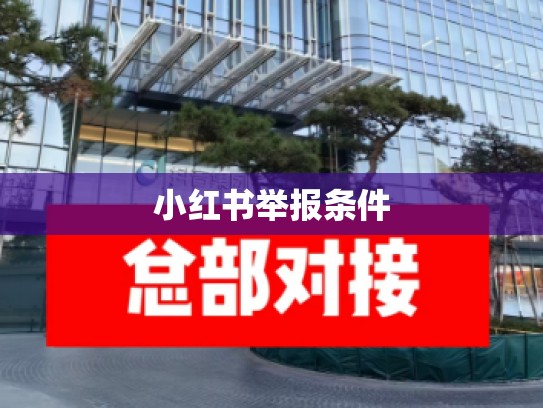 小红书举报条件