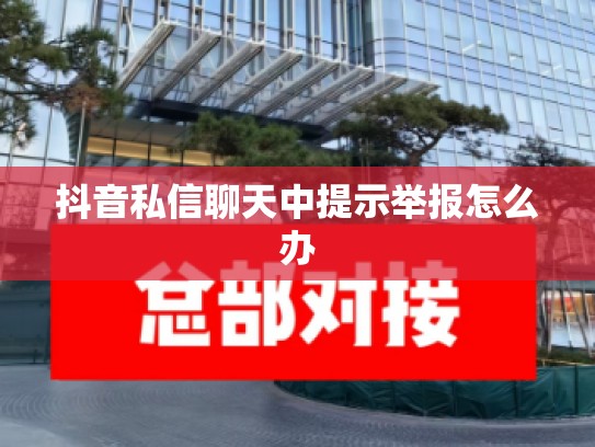 抖音私信聊天中提示举报怎么办