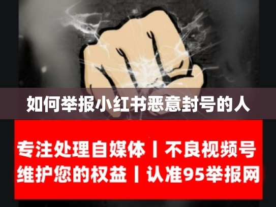 如何举报小红书恶意封号的人