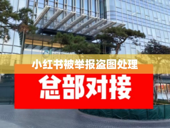 小红书被举报盗图处理