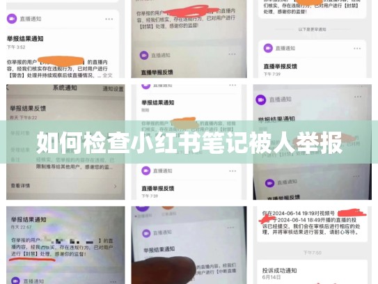 如何检查小红书笔记被人举报