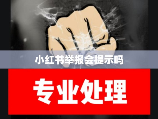 小红书举报会提示吗