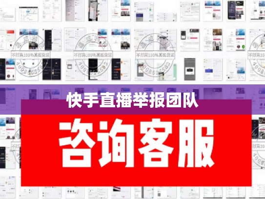 快手直播举报团队