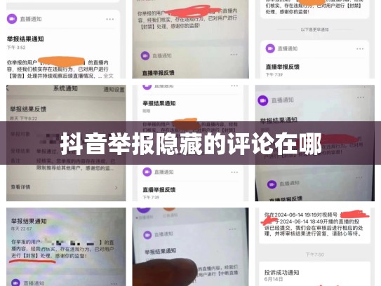 抖音举报隐藏的评论在哪