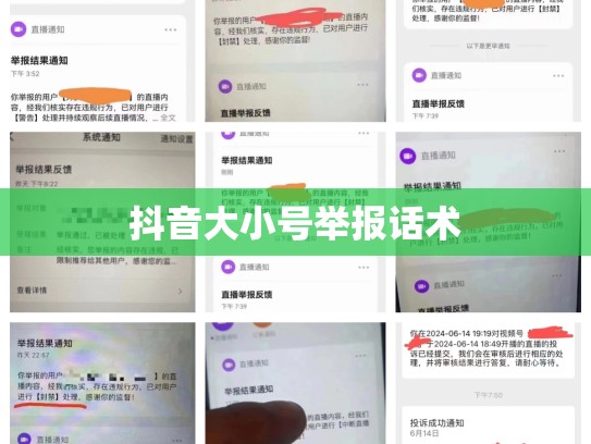 抖音大小号举报话术