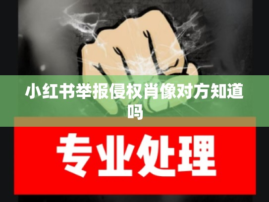 小红书举报侵权肖像对方知道吗
