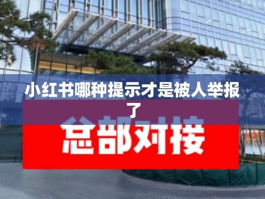 小红书哪种提示才是被人举报了