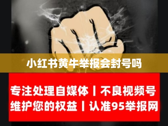 小红书黄牛举报会封号吗