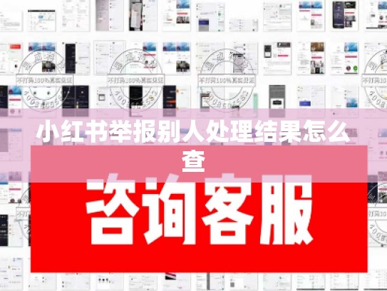 小红书举报别人处理结果怎么查